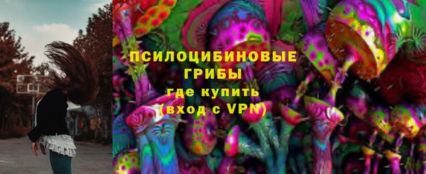 PSILOCYBIN Покачи