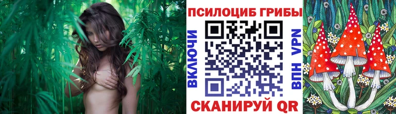 Галлюциногенные грибы прущие грибы Купить закладки Динская